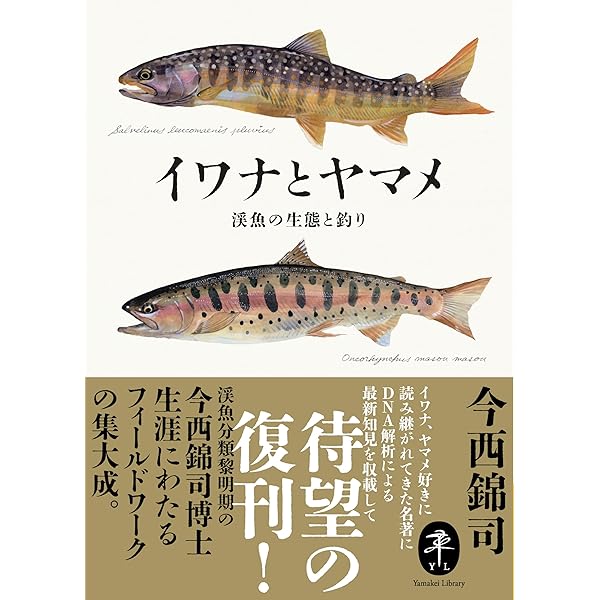 渓流釣りのすべて vol.6 (COSMIC MOOK) | コスミック出版 |本 | 通販